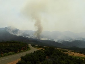 Brand 03