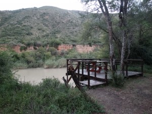DSC04578
