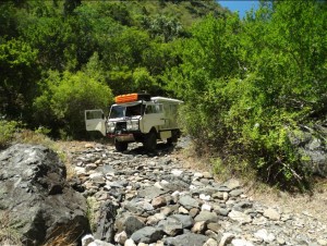 addo-03