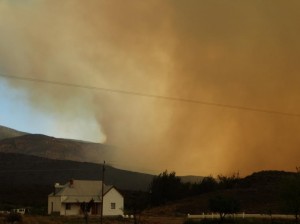 brand 01