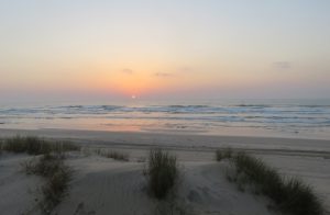 Oman 02-46
