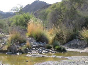 Oman 02-21 