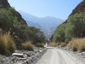 Oman 02-26 