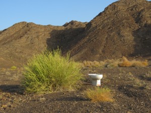 Oman 02-33  