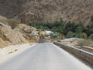 Oman 02-38  