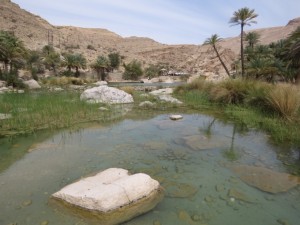 Oman 02-39  
