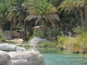Oman 02-41  