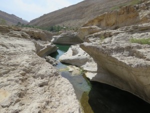 Oman 02-42  