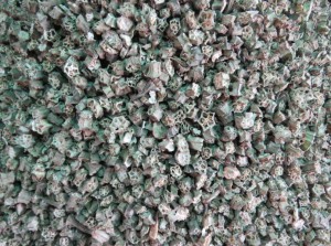 SU01 09b  