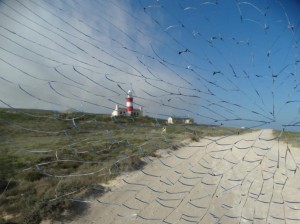 Sterretjes