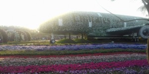 UAE 01-08   