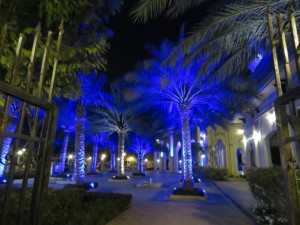 UAE 03-12   
