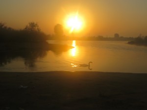 UAE 03-20   