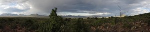 pan19