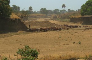 tan 09-40