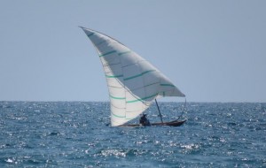 tan 09-57  