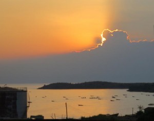 tan 09-59  