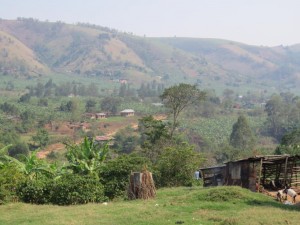 ug 09-03  