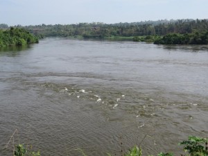 ug 09-09  